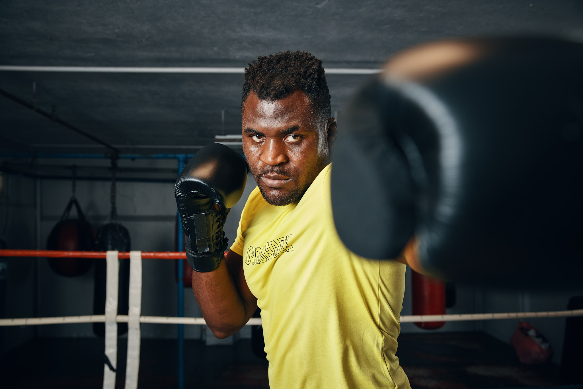 Ancell Digital Art CA. Seattle Sports GYMSHARK BOXING punch