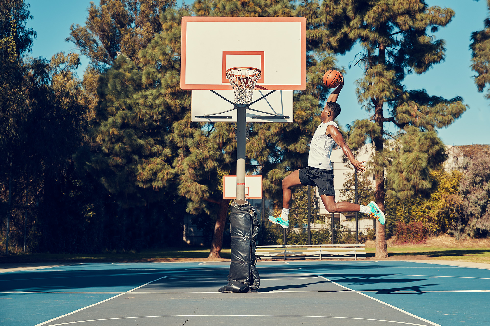 Ancell Digital Art CA. San Francisco Sports OMAX HEALTH street basketball